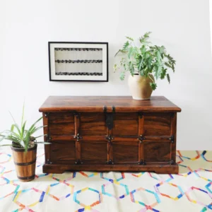 Grand Antique Panelled Sheesham Chest